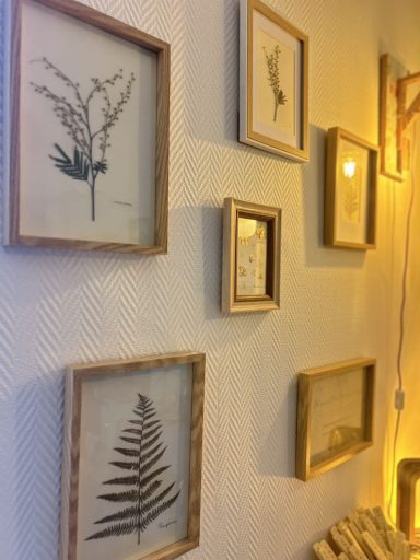 Cadre en bois avec des illustrations de plantes suspendues au mur.
